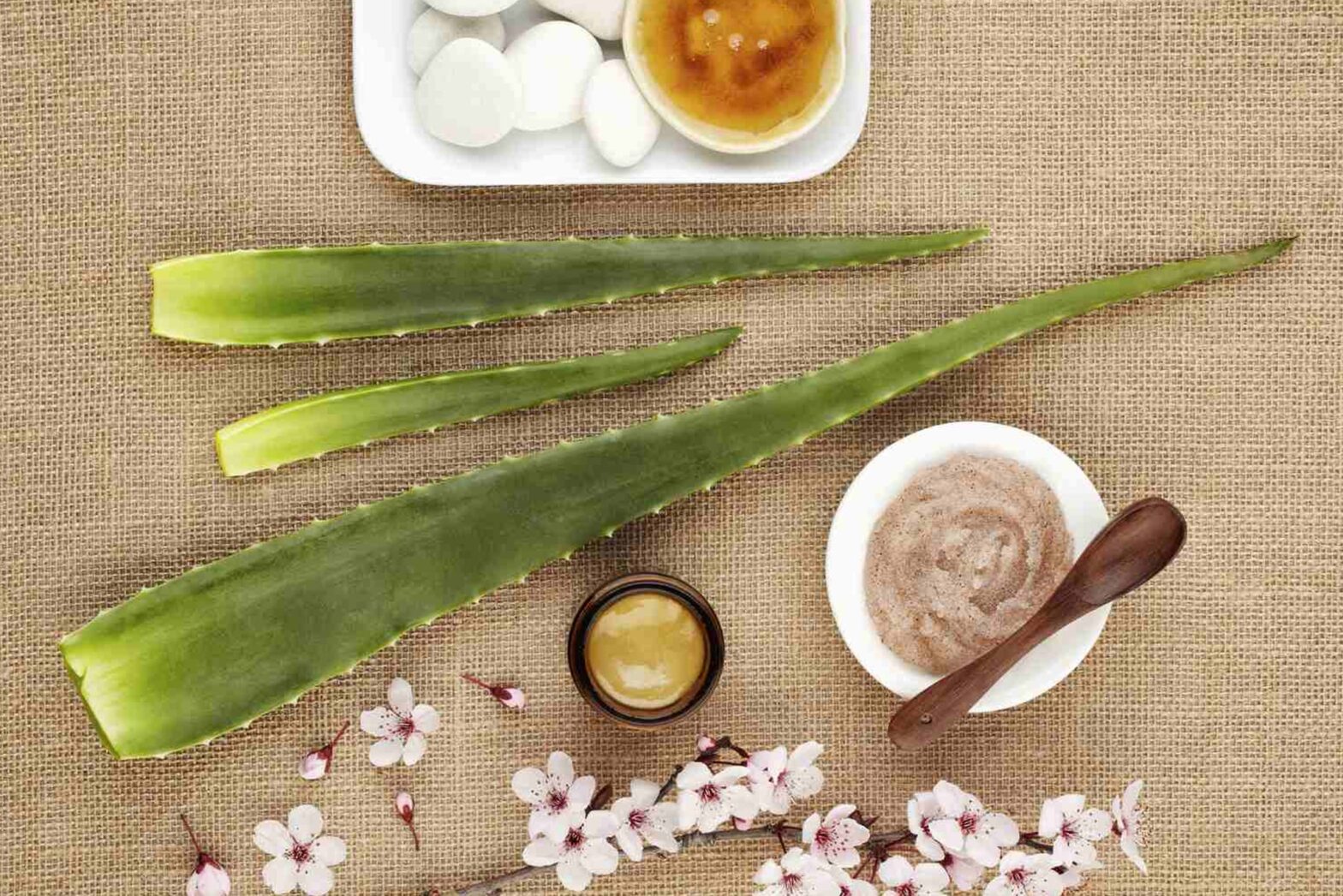 Best Home Remedies to treat Acne Scar