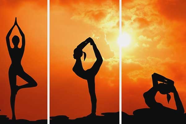 Yoga day will be celebrated with Yoga Hi Bp Bye Campaign